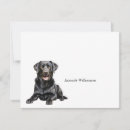 Search for labrador note cards Dogs