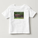 Search for tractor toddler clothing Farm equipment