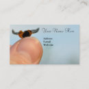 Search for ladybug business cards Outdoors