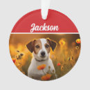 Search for jack russell dog ornaments Animals