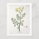 Search for vintage botanical postcards Trees