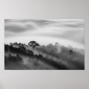 Search for black and white landscape posters Woods