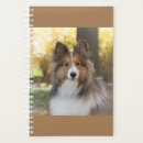 Search for sheltie gifts Dogs