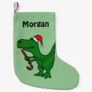 Search for dinosaur christmas stockings Fun