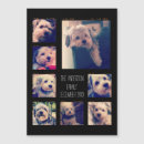 Search for 5x7 magnets For her