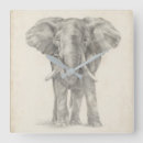 Search for elephant clocks Animals