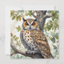 Search for owl mothers day cards Wildlife