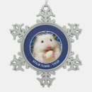 Search for hamster ornaments Rodent