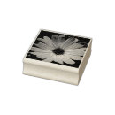 Search for photography rubber stamps Flowers