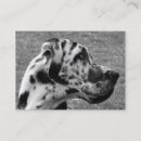 Search for great dane dog business cards Pets
