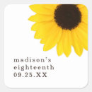 Search for large sunflower stickers Nature
