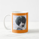 Search for english springer spaniel gifts Puppy