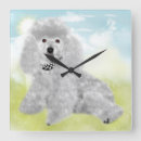 Search for poodle clocks Animals