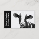 Search for dairy milk business cards Cow
