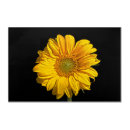 Search for 36x24 posters Yellow