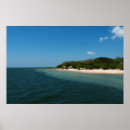 Search for rainforest posters Photography