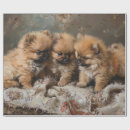 Search for pomeranian wrapping paper Cute