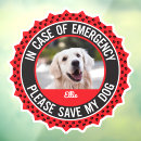 Search for dog window decals Alert