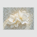 Search for lace tissue paper Ivory