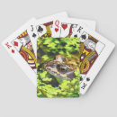 Search for frog playing cards Cute