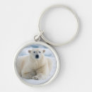 Search for polar bear keychains Superstock