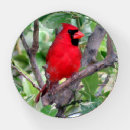 Search for red cardinal paperweight paperweights Bird