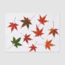 Search for japanese tissue paper Green