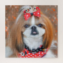 Search for shih tzu dog puzzles Animal