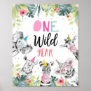 Search for one wild year Safari animals