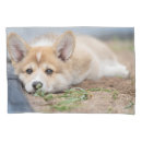 Search for corgi pillowcases Queen's dog
