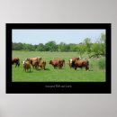 Search for hereford cattle gifts Ranch