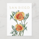 Search for san diego postcards Modern