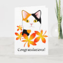 Search for congratulations in japanese Cat