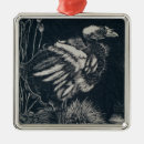 Search for birds nest ornaments Animal