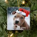 Search for pitbull ornaments Santa