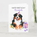 Search for bernese mountain dog cards Watercolor