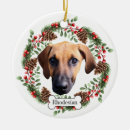 Search for rhodesian ridgeback ornaments Dog