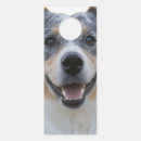 Search for pet door hangers Pets