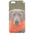 Search for weimaraner iphone cases Canine