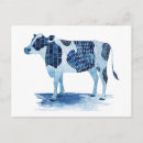 Search for cow postcards Portrait