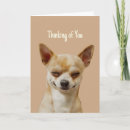 Search for funny thinking of you cards Dog
