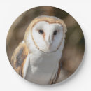 Search for owl paper plates Raptor