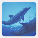 Search for cozumel mexico stickers Sea