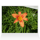 Search for oversized mothers day cards Flowers