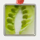 Search for peas in a pod ornaments Green