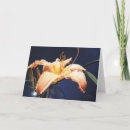 Search for daylily Watercolor