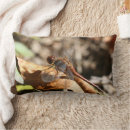 Search for dragonfly pillows Nature