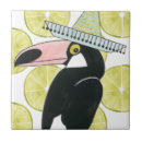 Search for cactus tiles Bird