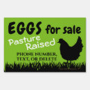 Search for eggs for sale signs Chicken