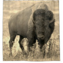 Search for bison shower curtains Animal